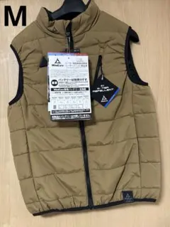 Item thumbnail for item c63af7d0-0acf-40b3-b1ac-3069f5c68994