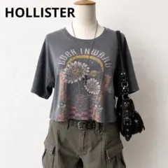HOLLISTER グラフィックTシャツ S スミクロ クロップド丈 Y2Kのサムネイル