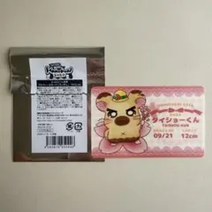 とっとこハム太郎 タイショーくん プロフィールカード