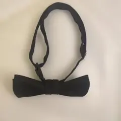 Item thumbnail for item c01c6cdd-60d1-4a36-8a04-a62f74df1f90