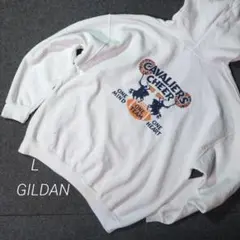 Item thumbnail for item 9d6347d7-0a7f-4425-8026-2f8ed12b4745