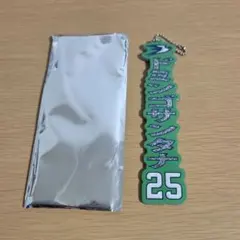 東京ヤクルトスワローズ ドミンゴサンタナ ボンフィン