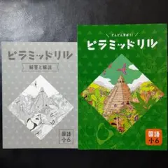 ピラミッドリル 国語 小６ 解答と解説付 ６年 最新版 新品