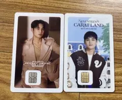 Seventeen セブチ　SVT NAMANE カード　2枚セット　ミンギュ