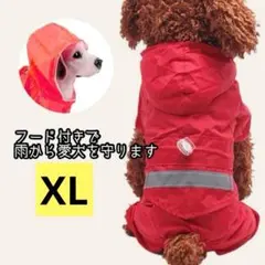 犬用 レインコート XL カッパ 赤　レッド　フード付き　お出かけ 雨 お散歩のサムネイル