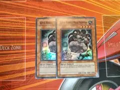 北米版 素早いビッグハムスター ABPF スーパー 遊戯王 海外 英語 米