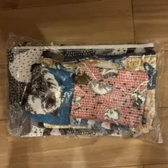 リンネル 付録 マーブルシュッド ⭐️ねこ柄ポーチのサムネイル