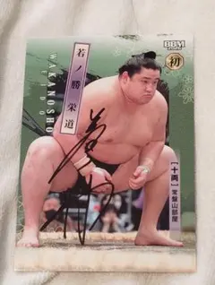 Item thumbnail for item 47096146-7e0e-4436-8906-11614baefc83