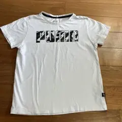 Item thumbnail for item eced924d-cf51-44f1-9120-caa4b8b19485