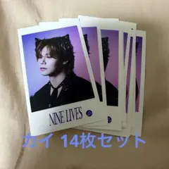 超特急 生写真 NINE LIVES ミニフォト カイ