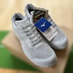 2026年最新】MIZUNO GOLF ゴルフ シューズ(男性用)の人気アイテム