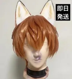 2026年最新】ウィッグ ズートピア ニックの人気アイテム - メルカリ