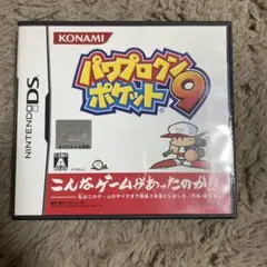 パワプロクンポケット 9