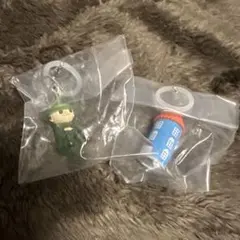 ムーミン　めじるしアクセサリー　スナフキンとムーミンやしきの2種セット