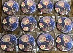 ⭐️あんスタ⭐️【12点セット】中国限定 星之所向 缶バッジ