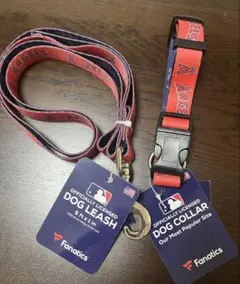 Item thumbnail for item 43f770dc-a742-4b1a-855e-1f2c901656b9