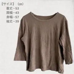 ブラウンTシャツ コットン　5.7分袖