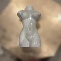 ホワイト 女性用ボディトルソー