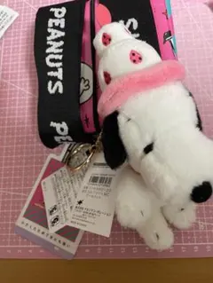 スヌーピー 75周年 ピーナッツ サンスター キーホルダーとエコバッグセット