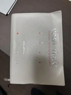 Item thumbnail for item e1a64f28-b00c-471f-8100-c2c6948244fc