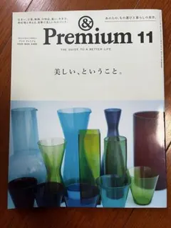 premium11