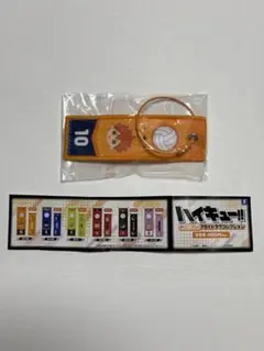 ハイキュー!! ガチャガチャ みにコレフライトタグコレクション日向翔陽くん