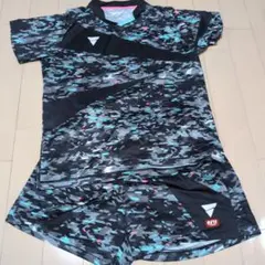 VICTAS セットアップ
