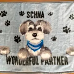 Item thumbnail for item 27d14b06-6e04-4b8a-b36a-8d7b715eddd2