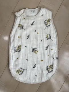 Item thumbnail for item e36fc209-7c8b-46fa-a481-2cb56424a898