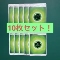 ポケモンカード 草エネルギー 10枚セット