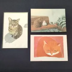 猫のイラスト ポストカード 3枚セット
