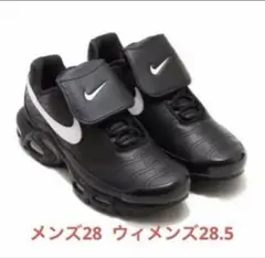 NIKE W AIR MAX PLUS BLACK TIEMPO TNPO - メルカリ