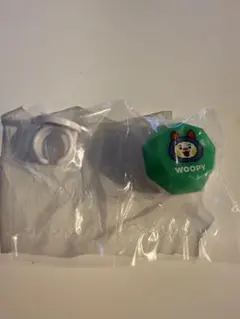 TRUZ ピカっとリング　WOOPY ジョンウ