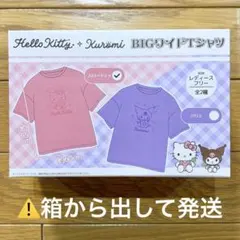サンリオ　BIGワイドTシャツ　ハローキティ　レディースフリー　新品