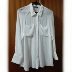 ZARA trf シアー ロングブラウス