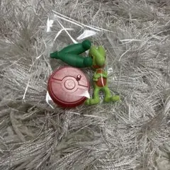 ポケモン チョコエッグ キモリ フィギュア