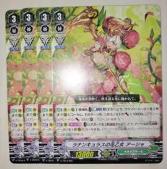 ラナンキュラスの花乙女 アーシャ 4枚 V-TD12/001