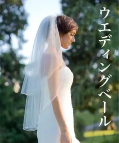 Item thumbnail for item 4829234b-5fc5-4512-8cbe-9007ba0565e7