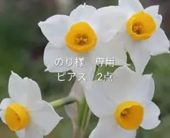 のり様専用ページ　ピアス2点