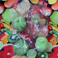 カプセルフロッキーズ たまごっち くちぱっち 2個セット