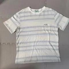 Crocodile ストライプ Tシャツ Mサイズ