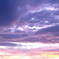 ⚠️専用出品⚠️PORTER ポーター カプセル ブラック 財布 CAPSULE