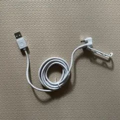 ホワイト USBケーブル Type-C