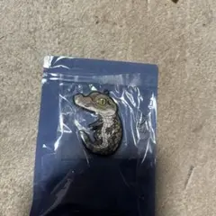 ワニ アクリルキーホルダー ボールチェーン付き