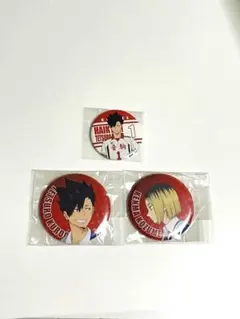 黒尾鉄朗・孤爪研磨 缶バッジ 3個セット