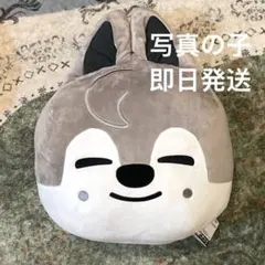 WolfChan】 SKZOO ドーム型 BIG ぬいぐるみ【GIGO限定】 - メルカリ