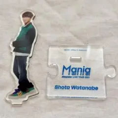 【最終値下げ❗️】SnowMan 渡辺翔太 アクスタ Mania