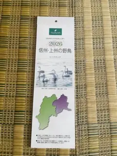 Item thumbnail for item 6d7c29bc-f233-403d-a099-a5b923e03ecd