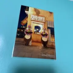 ディズニー　シー　チップとデール　チデ　スペフォ　スペシャルフォト　チップデール