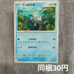 【在庫1】テッポウオ まとめ買いのサムネイル